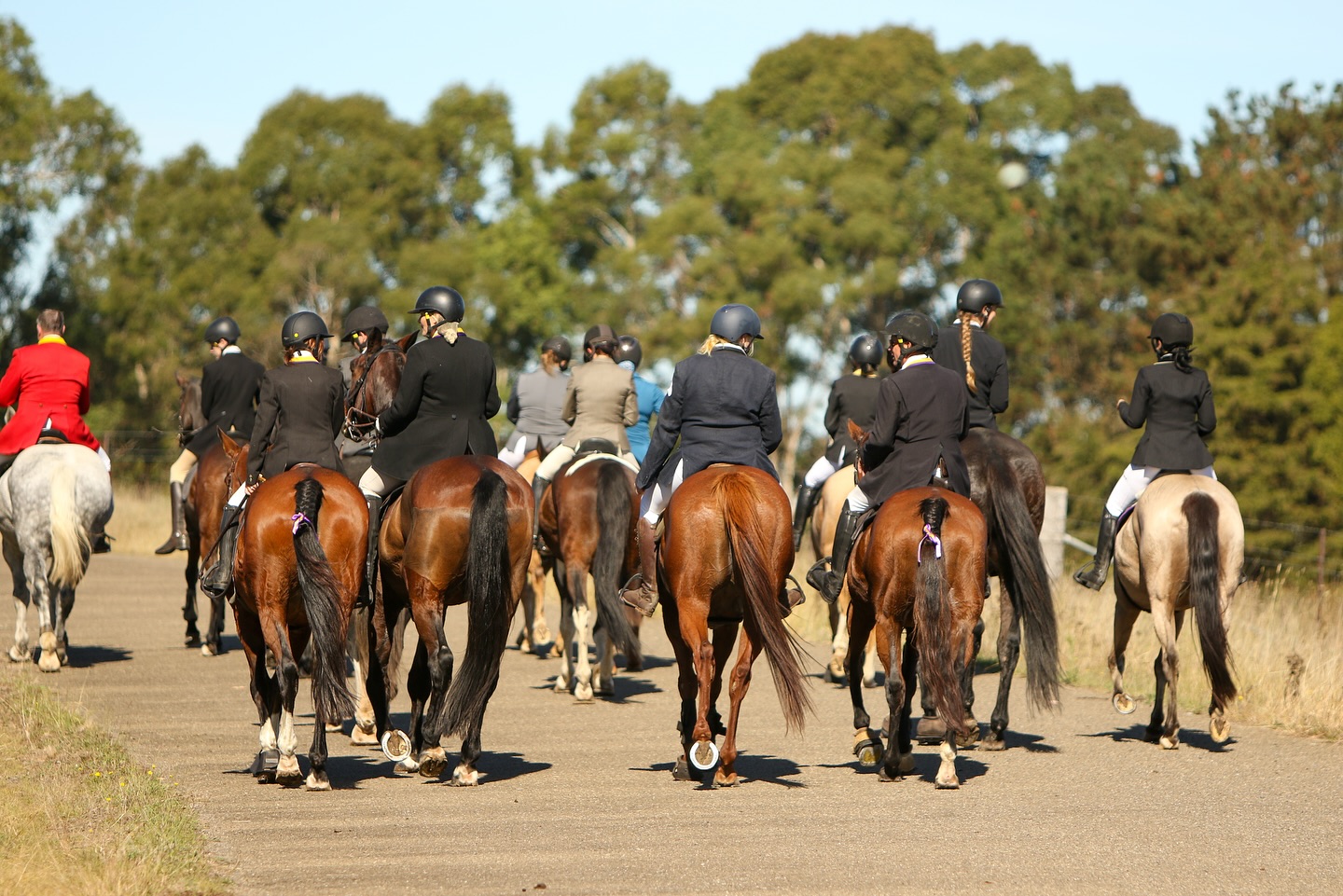 495689953_17884070664272555_2590848481931043904_n