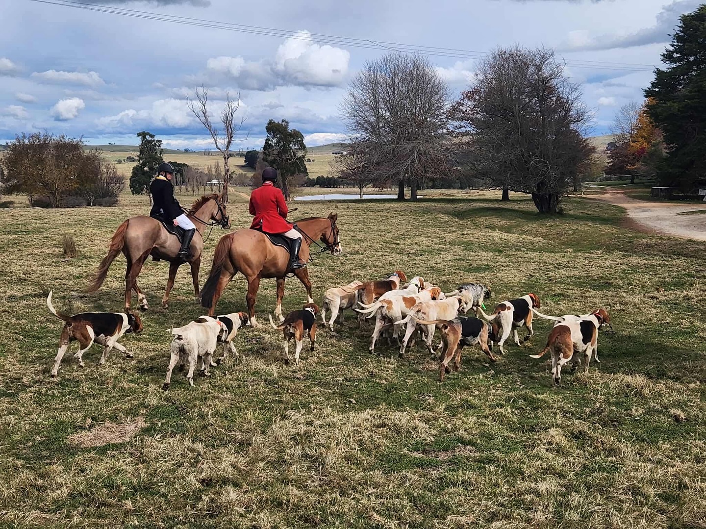 506035148_17889159243272555_2103482022359396197_n