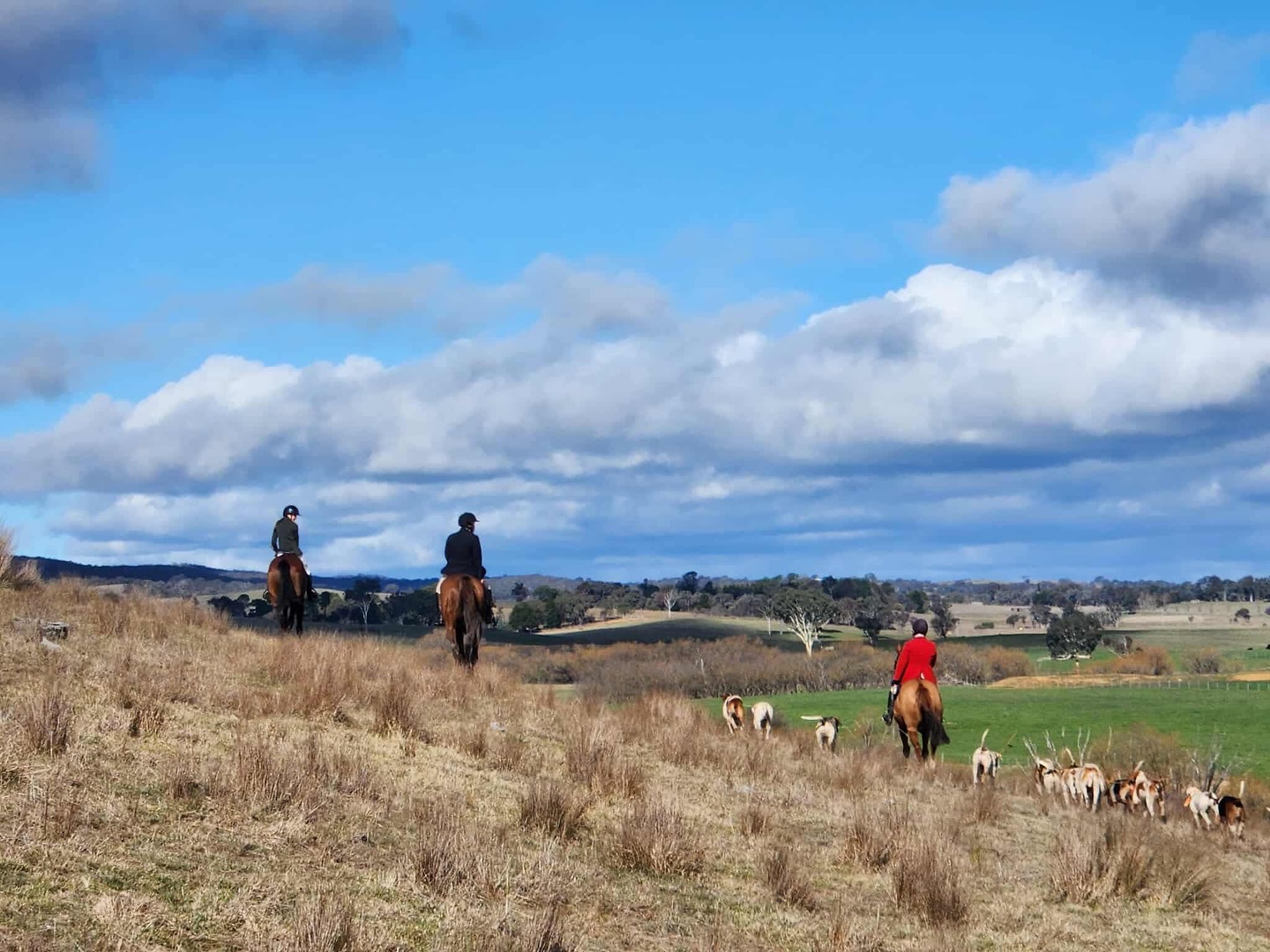 528181619_17894818878272555_8816943357670775443_n