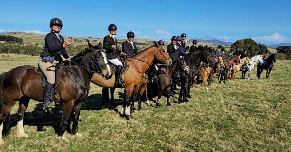 d94a18aa-8857-4a60-96fd-db5b6d116bd0